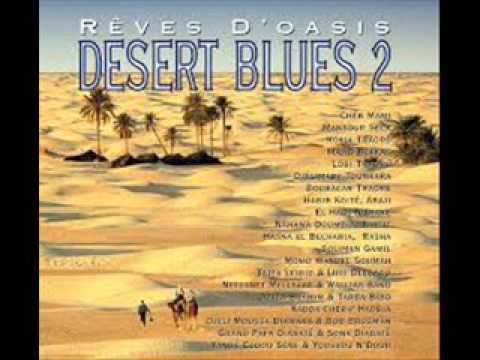 Reves D'Oasis Desert Blues 2 - 'Felenko Yefe' by Momo Wandel Soumah Guinea