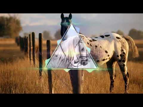 Banda 100 parea - mulher de cachaceiro (com grave)