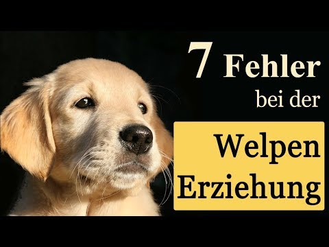 Ob man gribok eksoderilom heilen kann Gribok auf den Nägeln zu wem zu wenden, sich