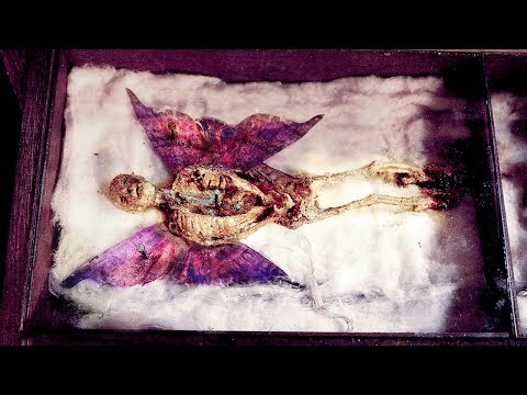 download lagu mp3 mp4 Fairies, download mp3 Fairies free downloadn, video klip Fairies
