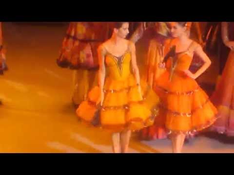 Васильев-Базиль,Рыжкина-Китри 2 акт "Дон-Кихот" 5-4-2014