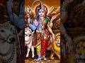 Padve Thi Pelu Manu Noratu Ho Jire