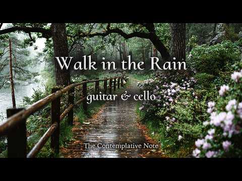 Une Marche Sous la Pluie 🌿 Guitare & Violoncelle pour Réconfort et Guérison Émotionnelle