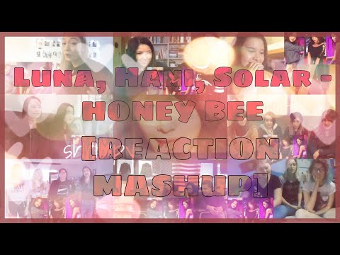 [MV] 루나, 하니, 솔라 Luna, Hani, Solar - HONEY BEE (Prod.by 박근태 Keun Tae Park) – REACTION MASHUP
