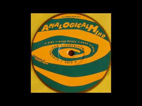 Dj.ungle Fever 014 - Analogical Mind - Freddy Fresh - B1 - Stormcloud
