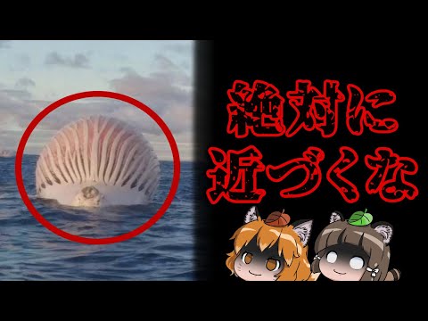 暖かい水はクジラを危険にさらす