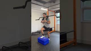 Safety Squat Bar Step Up