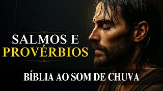 Salmos e Provérbios [Sabedoria e Proteção Sob a Chuva Divina] Bíblia ao Som de Chuva