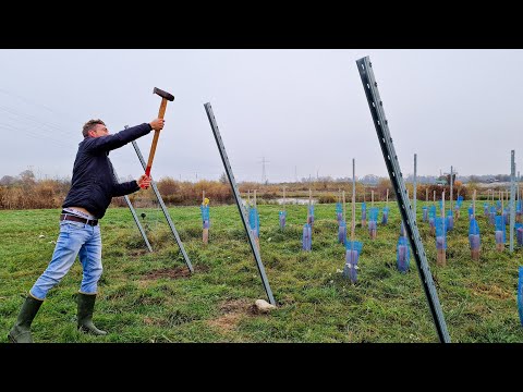 Der Traum vom eigenen Weinberg in Oberbayern // Teil 3: Das Drahtrahmen Gerüst