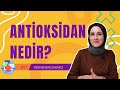 antİoksİdan nedİr antİoksİdan ne İŞe yarar