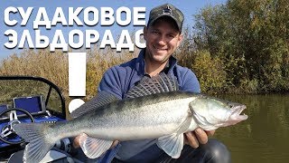Рыбалка в астрахани сезон когда
