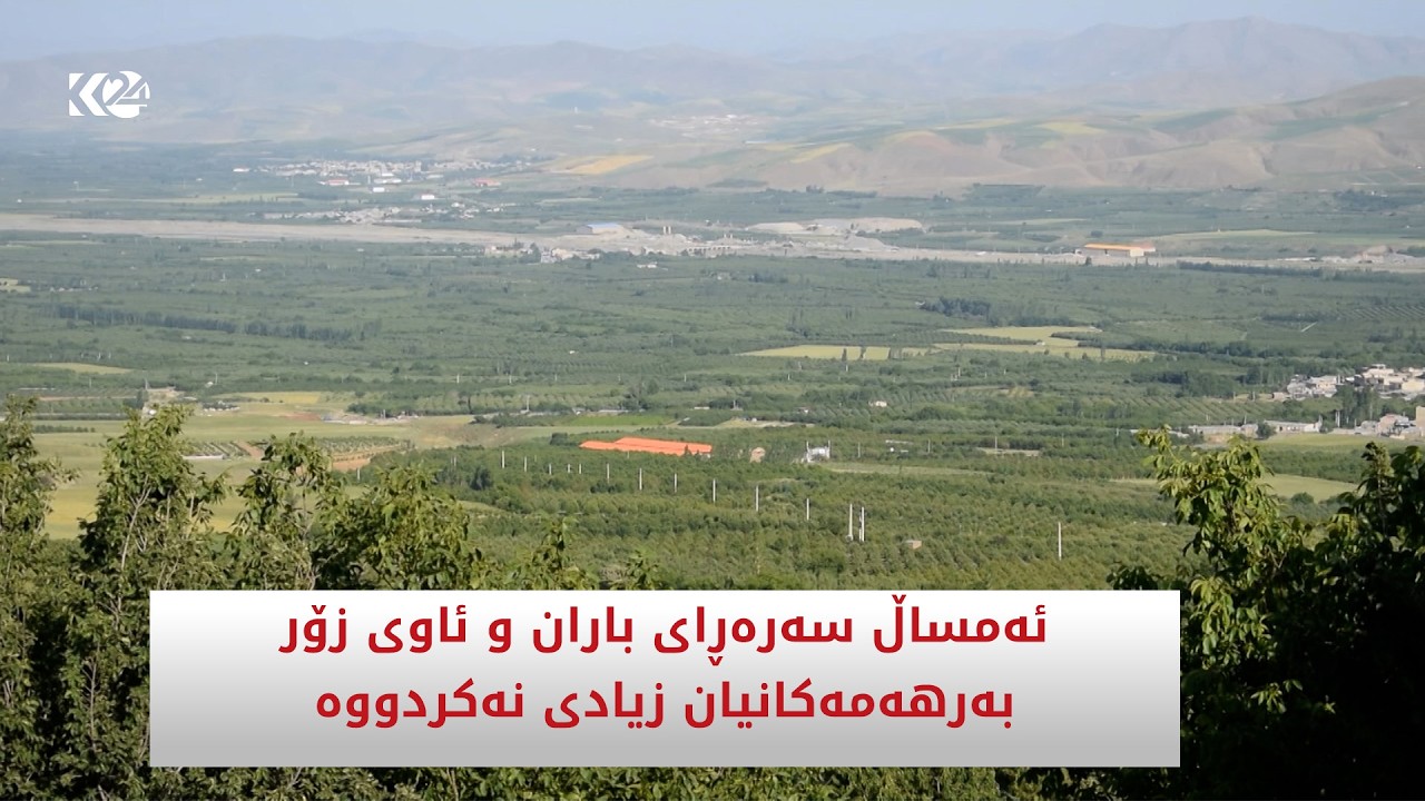 ڤیدیۆ | ئەمساڵ سەرەڕای باران و ئاوی زۆر بەرهەمەکانیان زیادی نەکردووە
