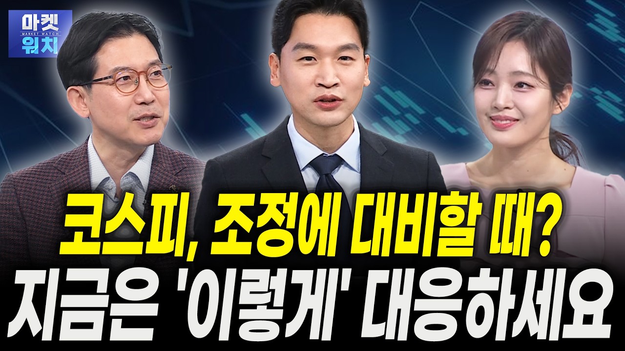 전 모건스탠리 이사의 삼성전자·현대차 주가 전망｜강관우 더프레미어 대표