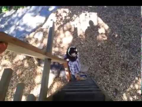 Treehouse above The Bay 20150414 101908