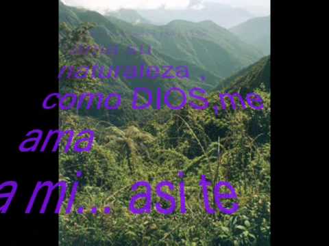 MI CARPUELA - Segundo Rosero - Ecuador, Perú, Bolivia