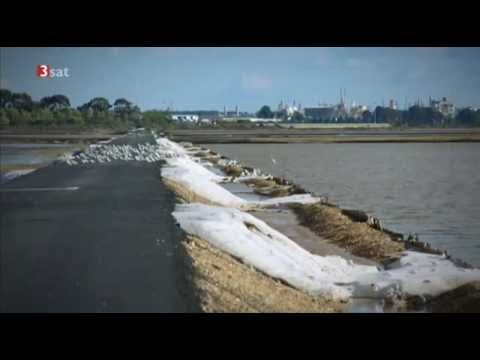 Schatten des Todes - Die Geschichte der Seuchen - Pest Typhus Cholera
