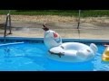 Frozen Olaf Snowman Water Float In Swimming Pool
