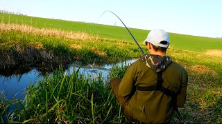 Ловля карася летом на удочку с боковым кивком