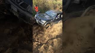 Pistoia Claitor su dente