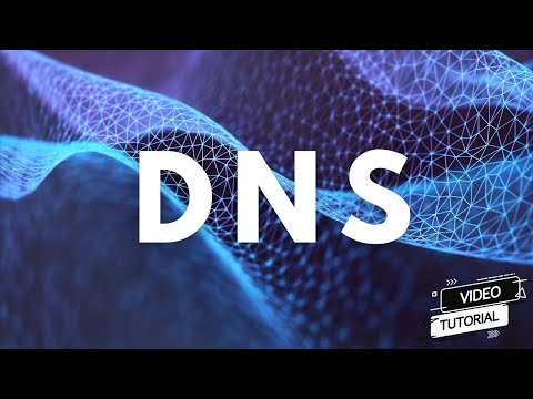 Was ist ein DNS-Server? Einfache Erklärung, wie das Domain Name System funktioniert!