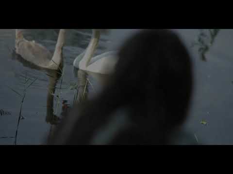 Ariadna Laddy - All is Clear [TRAILER] (with bonus)