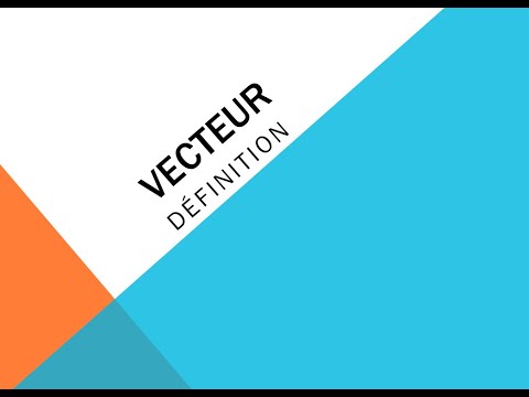 Vecteur Définition