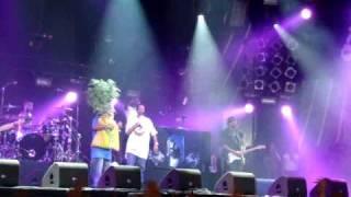 Gimme that tree Snoop Dogg freestyle live at lowlands 2009