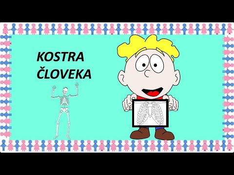 Kostra človeka | maminask :)