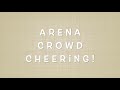 Arena crowd cheering