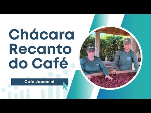 Chácara Recanto do Café em Buritis Rondônia 