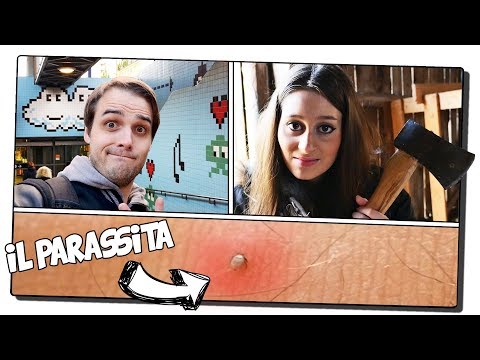 Siccome è corretto per dare a un gattino da vermi I helminths sono trovati in acqua