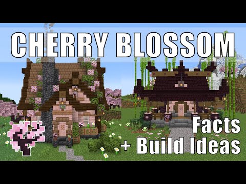 Minecraft  Cherry Blossom Build Ideas | All About Cherry Blossom Minecraft 1.20