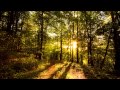 Every You Every Me 2008 (Mr Bronkz Remix) By ...