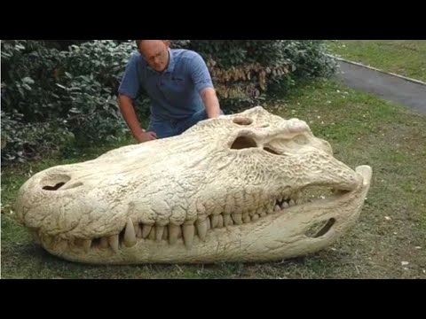 The Giant Caiman That Bit Harder Than T. Rex - Purussaurus