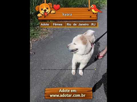 Vídeo de kyara