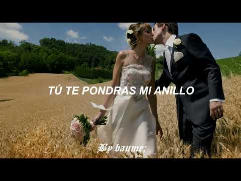 1910 Fruitgum Company - When We Get Married - Sub. en español