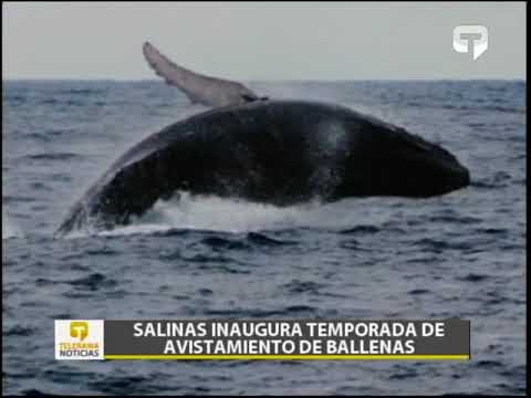 Ing. José Behr Paredes 