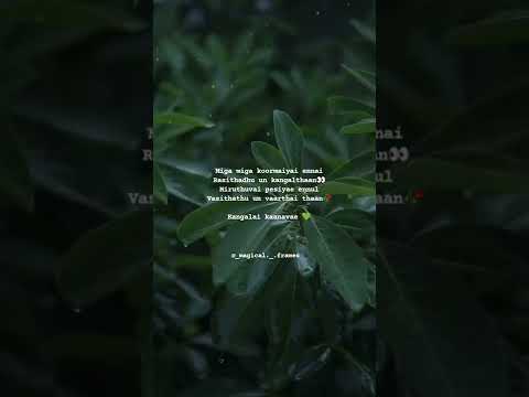 Yaaro Manathile Song lyrics | WhatsApp status Tamil | Magical Frames