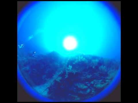 Don't Panic-First Deep Dive!