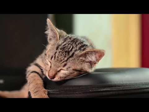 #cet #qut ceat#lovley #loyal