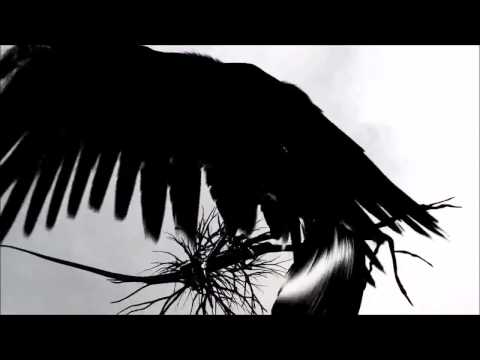 Korbi - #Profeti ( Prod. #MubzBeats )