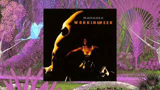 Working Week - Positive