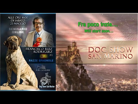 SEMINARIO ON LINE - RAZZE SPAGNOLE con Francisco Ruiz Rodriguez (E)