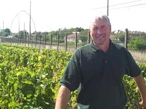 Chateau Haut Brion – a preview of the 2009 vintage