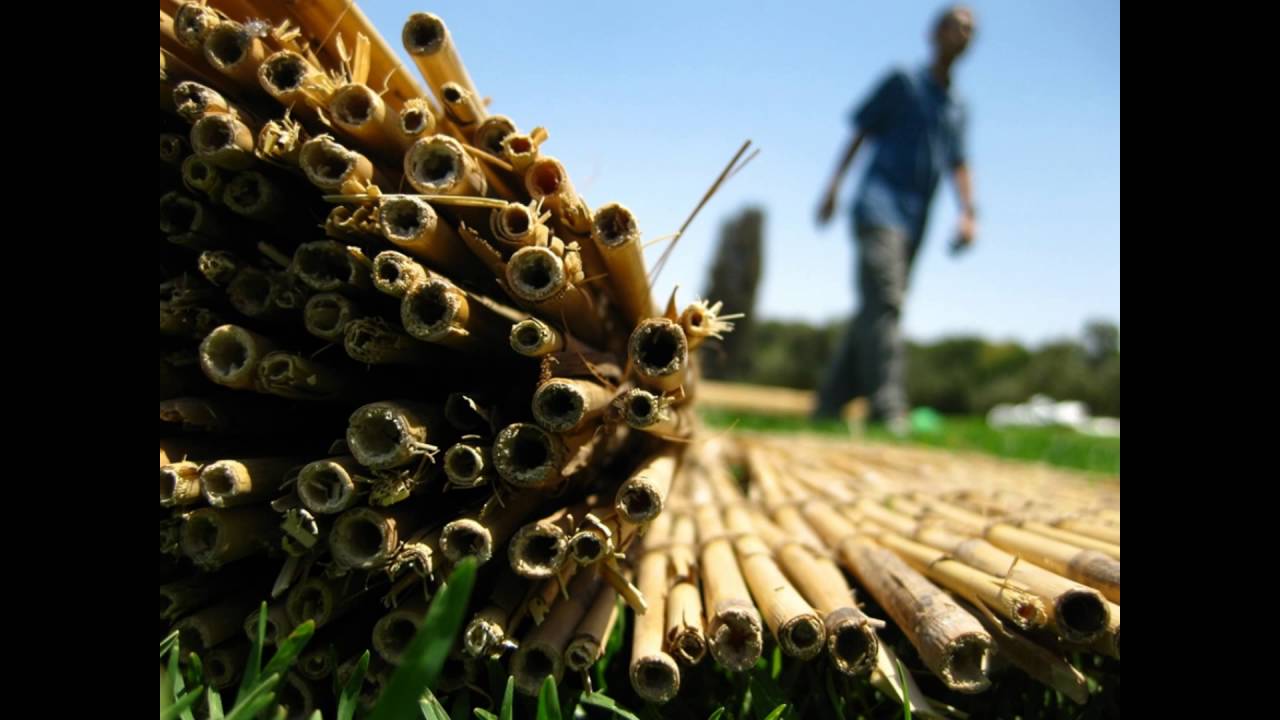 סכך לסוכה - חייג 072-2133333