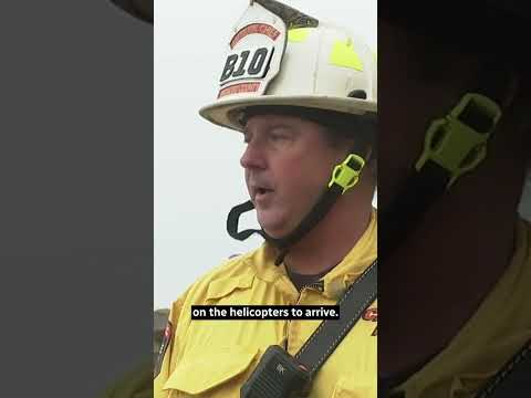 4 survive plunge of California cliff, driver arrested #shorts