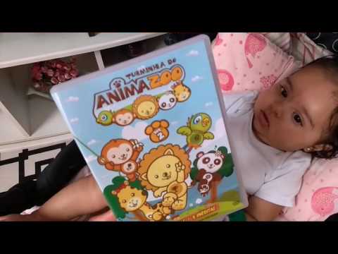 DIA FRIO| ORGANIZANDO OS LACINHOS  | DVD ANIMAZOO