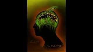 The Mind Wasp - The Devin Townsend Project (Lyrics and animation)