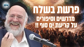 "קריעת ים סוף – כמו שלא שמעתם מעולם" | הרב ברוך רוזנבלום בשיעור אדיר – בשלח (פ"ה) (הרב ברוך רוזנבלום) - התמונה מוצגת ישירות מתוך אתר האינטרנט יוטיוב. זכויות היוצרים בתמונה שייכות ליוצרה. קישור קרדיט למקור התוכן נמצא בתוך דף הסרטון