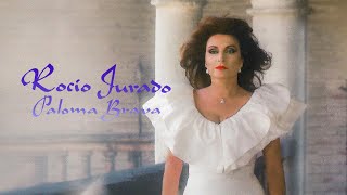 Paloma Brava Lyrics English Translation